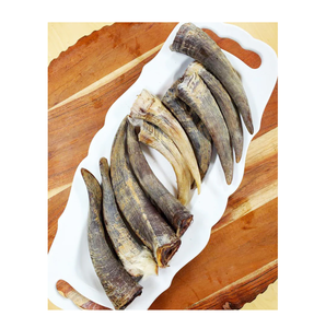 100% Cuerno de Shofar de cabra natural Mejor calidad Precio barato Artesanía Cabra Oveja Shofar Cuernos - Product Image 1