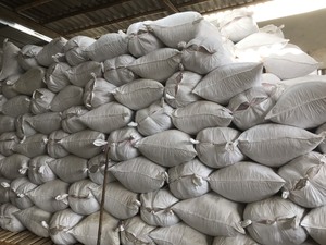 Nouvelle saison gingembre coupe tranche lyophilisation emballage 50 kg/sac pour la vente en gros en vrac prix pas cher fabriqué au Vietnam - Product Image 6