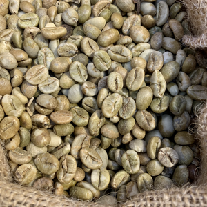 Grains de café vert Arabica de qualité supérieure, Vietnam, S18, séchés au soleil, saveur naturelle, NT COFFEE, OEM, ODM, étiquette privée, export - Product Image 6