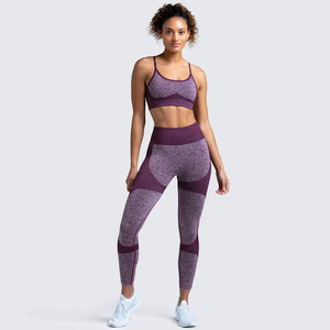 Leggings pour femmes, soutien-gorge de sport, pantalon de yoga, vêtements de sport pour femmes, crop top, tenue de fitness active, ensemble de sport sans couture, OEM - Product Image 5