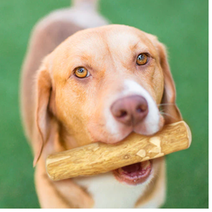 COFFEE WOOD CHEW for DOG HIGH QUALITY/ <b>PET</b> <b>TOYS</b> - Product Image 4