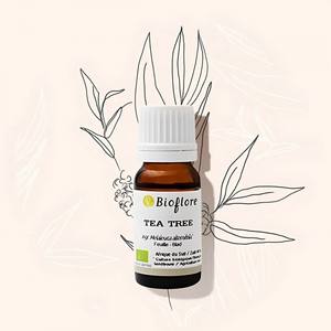 Huile essentielle d'arbre à thé biologique Bioflore de qualité supérieure, aromathérapie artisanale, soin de la peau, AU, tous types de peau, flacon de 10 ml, haute qualité - Product Image 2