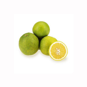 Citron vert frais, fruit sucré, juteux, aromatique, agrumes, produits de haute qualité, acheteurs en gros, exportateurs, commerciaux - Product Image 6