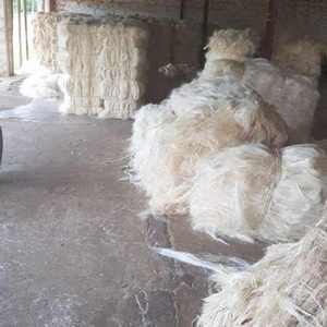 Fibre de sisal brute de haute qualité, longue, douce, résistante à l'humidité et biodégradable pour la fabrication de cordes, le tissage, la tapisserie et l'artisanat - Product Image 6
