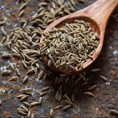 Premium Grade 100% Natural Whole Dried Cumin Seeds for Restaurants Spice Blends & Food Processing 12-Month Shelf Life Pricing