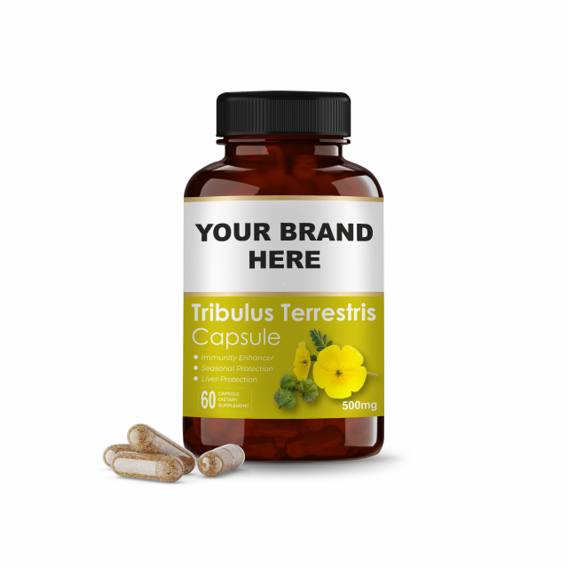 Health Beneficial Herbal Supplement Tribulus Terrestris Extract Capsules | Gokhru Powder | Vegetarian
