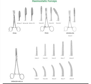 Pinzas Hemostáticas Manuales de Acero Inoxidable con Certificación CE e ISO de Pean-Rochester - Product Image 5