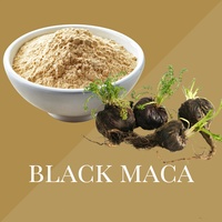 Poudre de Maca noire de haute qualité pour hommes, Macamide 0,6%, extrait de racine de Maca noire en poudre