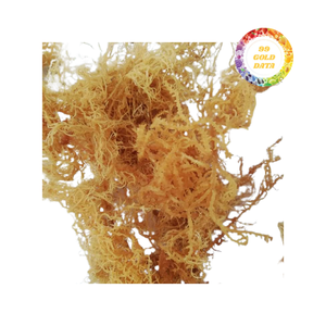สาหร่ายทะเลเกรดพรีเมียมแบบแห้งจำนวนมาก ชนิด Cottonii จากเวียดนาม สำหรับการผลิตเยลลี่และการสกัดคาร์รากีนัน - Product Image 3