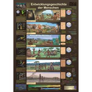 German DIN A1 Human Evolutionary History <b>Poster</b> Made of Durable Paper for Wall Display - Product Image 1