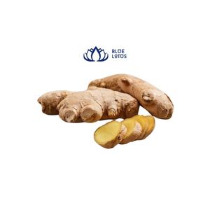 ส่งออกจากเวียดนามด้วยราคาที่ดีที่สุดสำหรับขิงสด - Product Image 4