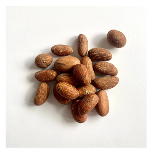 Garcinia kola sain bon marché (kola amer) - Product Image 4