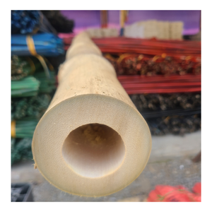 Poste de bambú seco para construcción-Estacas de bambú Materiales de caña de bambú en venta al por mayor - Product Image 3