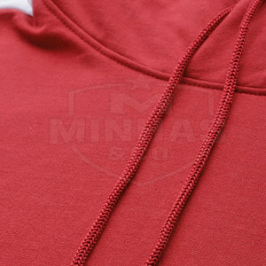 Sudaderas con capucha de venta directa de fábrica de nuevo estilo, ropa informal, sudaderas con capucha totalmente personalizadas disponibles en stock - Product Image 6