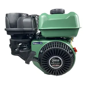 Vertical Engine Gasoline Factory Direct Sale 170 7hp 7.5hp 6.5hp Petrol Engine