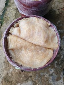 Venta caliente deliciosa ensalada de medusas saladas precio al por mayor, crujiente y picante marisco vietnamita delicadeza - Product Image 5