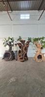 Arbre à chat KNT Creations en FRP, design moderne et luxueux, en plastique, pour la maison et le jardin, imperméable, adapté aux animaux domestiques, léger, décoration intérieure