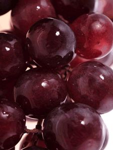 Organic Seedless <b>Grapes</b> Export Grade Red and Green <b>Fresh</b> Organic <b>Grapes</b> for Global Trade - Product Image 5