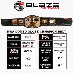 เข็มขัดแชมป์ NWA Authentic Wear รุ่น Commemorative ประดับด้วยหินหลากสี เข็มขัดมวยปล้ำคุณภาพสูง เข็มขัดแชมป์สุดหรู - Product Image 6