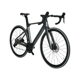 ACHETER LE BON vélo électrique pour adultes en vente chaude avec pneus anti-crevaison moteur sans balais 250/500W batterie au lithium en aluminium standard - Product Image 4