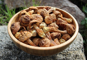 เห็ด Agaricus Blazei ดิบที่ปลูกอย่างประดิษฐ์ขายส่งเห็ด Agarius แห้งคุณภาพสูง - Product Image 3