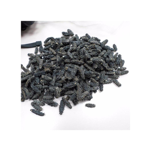 Pepino de Mar Seco de Alta Calidad, Antienvejecimiento, Origen Bélgica, 24 Meses de Duración - Product Image 3