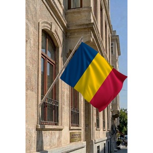Conjunto de Asta de Bandera Telescópica de Pared Chad con Bandera de Poliéster Impresa Digitalmente para Automoción, Educación, Seguros y Negocios - Product Image 2