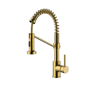 Latão Aço Inoxidável Escovado Ouro flexível torneiras Gourmet Pull Down Kitchen Sink Faucets Pull Out Spring Kitchen Faucets