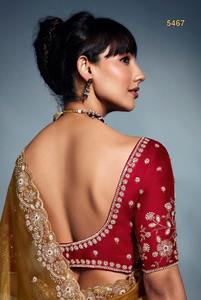 Sari de Moda para Bodas con Bordado Pesado, Trabajo a Mano en el Borde y el Cuerpo, Moti, Cutdana, Lentejuelas, para Mujer - Product Image 4