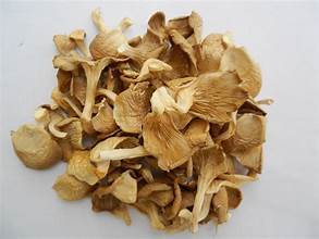 PURE <b>DRIED</b> OYSTER MUSHROOM IMMUNE BOOSTING INGREDIENT <b>PLANT</b> BASED WHOLE FOOD - Product Image 6