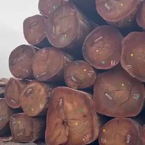 Bûches de bois d'eucalyptus et de bouleau, types variés (y compris épicéa, acacia, chêne), bois dur d'origine américaine, matériau de construction, à vendre - Product Image 2