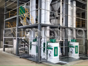 Nouvelle ligne de production de granulés alimentaires personnalisable pour le bétail - Product Image 4