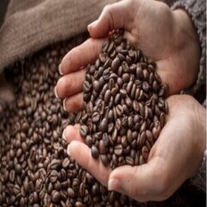 เมล็ดกาแฟอาราบิก้าคุณภาพสูง ออร์แกนิค ไม่ผ่านกระบวนการคั่ว ขายส่ง 100% ธรรมชาติ สำหรับส่งออก รับผลิตแบบ OEM/ODM - Product Image 1