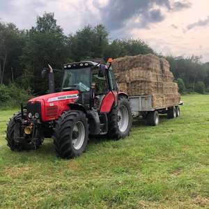 Massey Ferguson 265 Tractor usado para exportación Tarifa barata 290 385 399 240 Los componentes principales de venta incluyen caja de cambios y bomba - Product Image 2