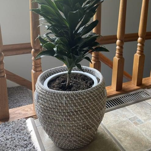 Vente en gros de pots de fleurs et de jardinières en jonc de mer écologiques Accessoires de décoration intérieure du Vietnam - Product Image 4