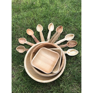 Assiettes en feuilles de palmier Areca, rondes, jetables, écologiques, biodégradables, 10 pouces, 7 pouces, Vietnam - Product Image 4