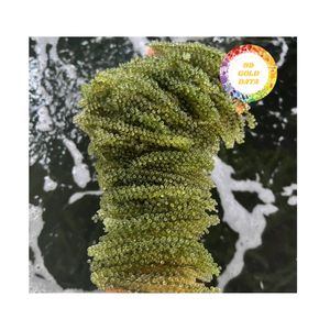 Algues marines vietnamiennes en sachet, best-seller pour la santé et la beauté - Product Image 2