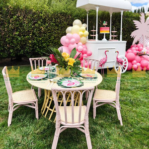 Juego de silla y mesa de ratán ecológico para niños, estilo de diseño moderno para uso en exteriores, para hoteles - Product Image 2