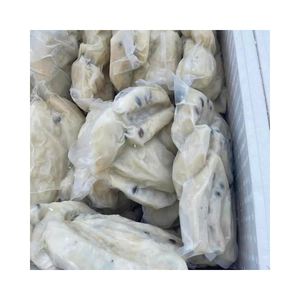 Pâte de corossol congelée du Vietnam à bas prix Purée de graviola pour l'exportation Commandes en gros Idéal pour les jus et les desserts - Product Image 1