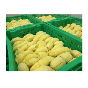 MEILLEURE VENTE 2024 DURIAN FRAIS-TOP VENTE EXPORTATION DE PRODUIT FRAIS AU VIETNAM DURIAN ROUGE ET BLANC NOUVELLE GRANDE RÉCOLTE - Product Image 6