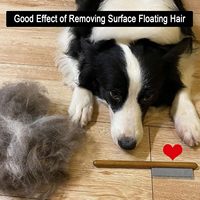 Peigne pour animaux de compagnie en bois Portable facile à utiliser pour l'épilation des chats élimination des nœuds beauté propre peigne à puces peigne à puces pour chien fournitures pour animaux de compagnie