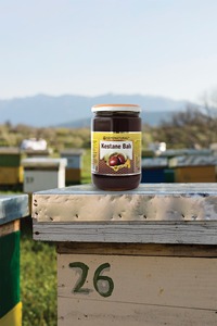 Miel de châtaigne 100% pur Sepe Natural 850g en pot Mason |   Miel liquide biologique de qualité supérieure de forêt turque, qualité alimentaire, en vrac, 24 mois - Product Image 5