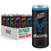 Boisson Énergisante Blue Dragon Ginseng 250ml (8.45 Fl oz) – Carton de 24 Canettes, Sans Sucre, Formule Puissante, OEM, Marque Privée, Vente en Gros, Échantillon Gratuit