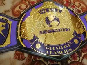 Ceintures de championnat de lutte, trophées, médailles et récompenses - Symbole ultime de la victoire et de l'excellence en cuivre/alliage de cuivre - Product Image 3