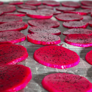 Venta al por mayor de rebanadas de fruta de dragón seca Exportación de alta calidad de Vietnam comida saludable, sin azúcar añadido - Product Image 3