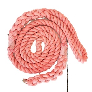 Handmade Luxury Nylon Leather Dog Leads Solid Brass Hook Cotton <b>Rope</b> with <b>Lace</b> Decoration Wholesale Pet Leashes Accessories - Product Image 1