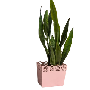 Fabricante Confiable de Floreros Modernos en Forma de Botella para Decoración del Hogar, Pequeños Floreros Nórdicos Transparentes y Económicos para Plantas - Product Image 6