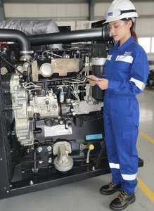 Generador Diésel de 800kw con Arranque Automático y Remoto, Trifásico, Refrigerado por Agua y Aire, Francia - Product Image 6