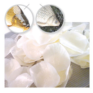 Écailles de poisson de tilapia séchées de qualité supérieure riche en collagène naturel pour les soins de la peau Beauté Produits cosmétiques Applications de nutrition et de santé - Product Image 1