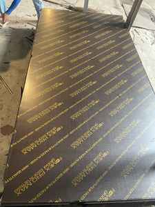 Diseño Industrial de Vietnam de alta calidad, tamaño de 1220x2440mm, contrachapado frontal de película negra, encofrado de construcción grueso de 11-21mm - Product Image 6